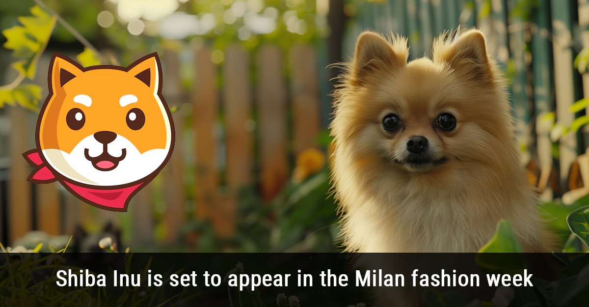 Shiba Inu is set to appear in the Milan fashion week