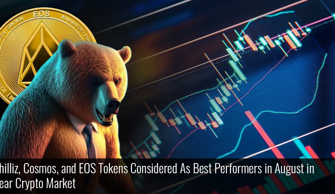 Chilliz, Cosmos, and EOS Tokens Considered As Best Performers in August in Bear Crypto Market