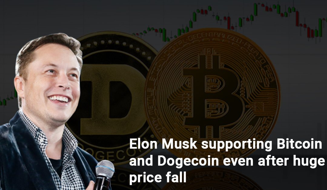 Elon Musk supporting Bitcoin and Dogecoin even after huge price fall