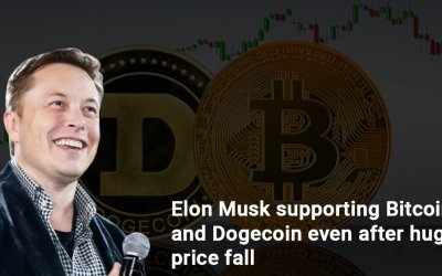 Elon Musk supporting Bitcoin and Dogecoin even after huge price fall