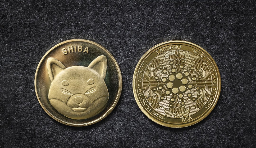 ADA Underperforms SHIB, and Nansen CEO Makes Fun of Cardano Brothers