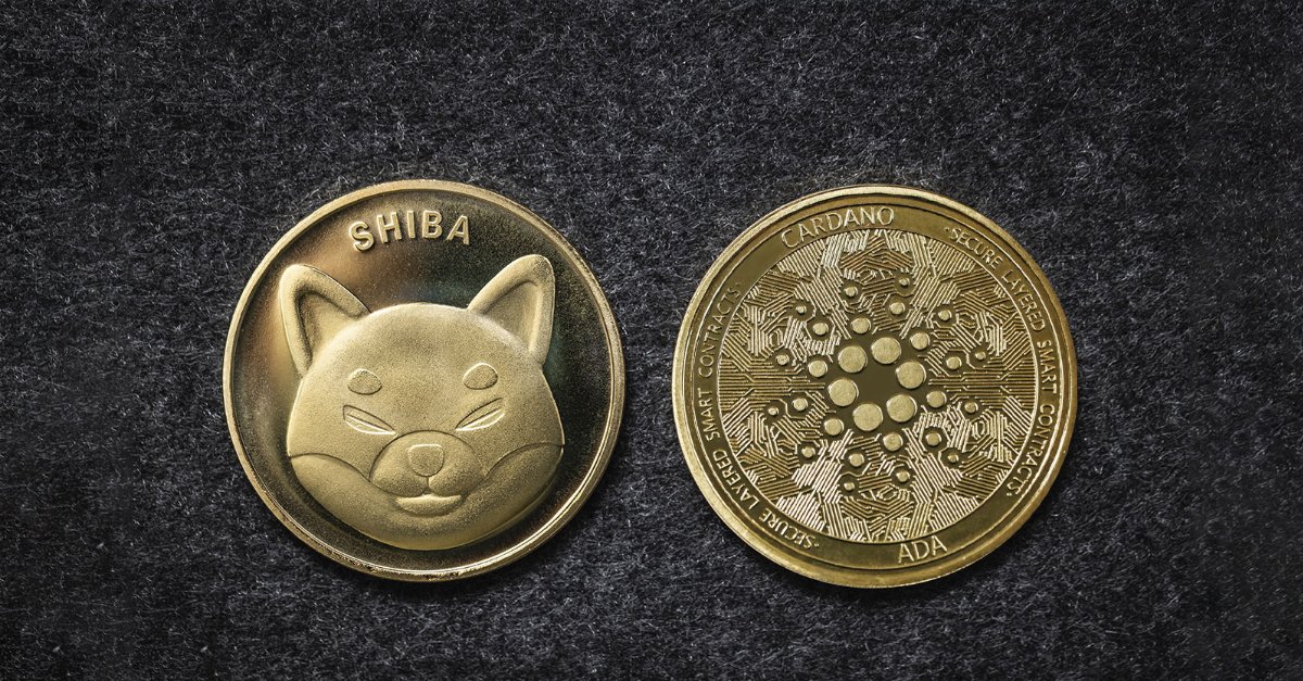 ADA Underperforms SHIB, and Nansen CEO Makes Fun of Cardano Brothers