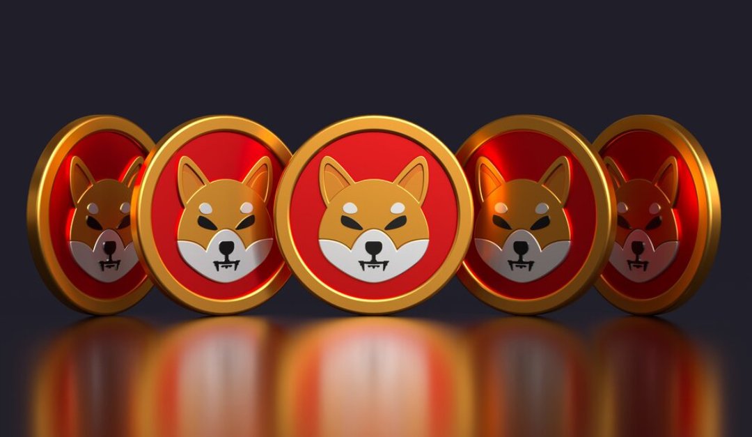 Shiba Inu among the most popular cryptocurrency in 2022, alongside Bitcoin and Ethereum.