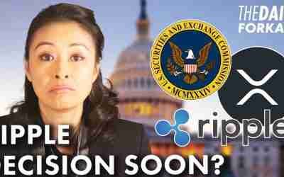 Ripple Expects a Decision in the First Half of 2023, According to Brad Garling house