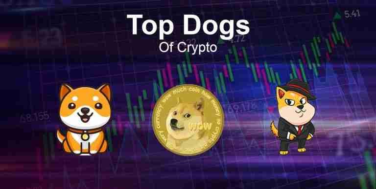 Top Dogs Of Crypto