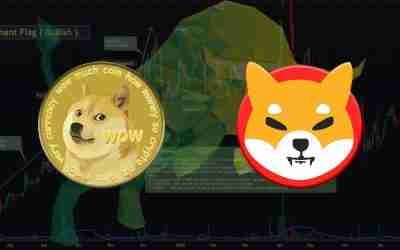 The Meme Coin Economy Flourishes As Dogecoin And Shiba Inu Maintain Their Positions As Top Dogs .