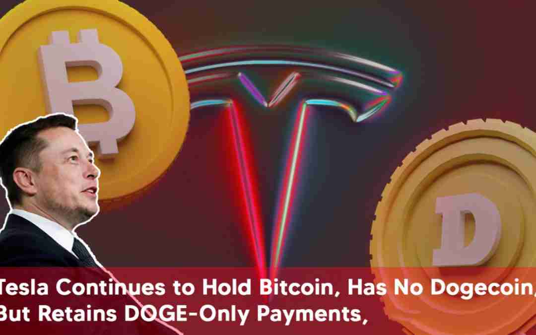 Tesla Continues to Hold Bitcoin, Has No Dogecoin, But Retains DOGE-Only Payments