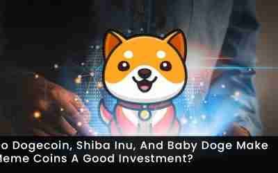 Do Dogecoin, Shiba Inu, And Baby Doge Make Meme Coins A Good Investment?