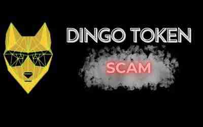Dingo Token Scam Unveiled: How a 99% Transaction Fee Backdoor Cost Investors Millions!