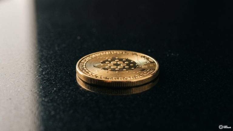 Cardano Whales Are